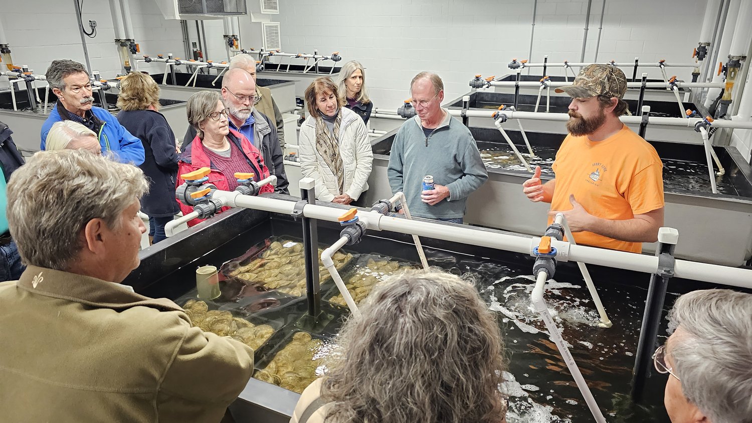 Ferry Cove Oyster Hatchery